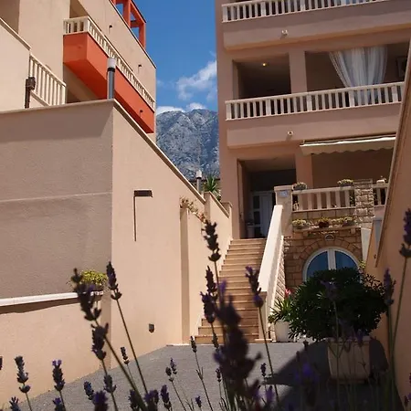 Agava Begic Макарська